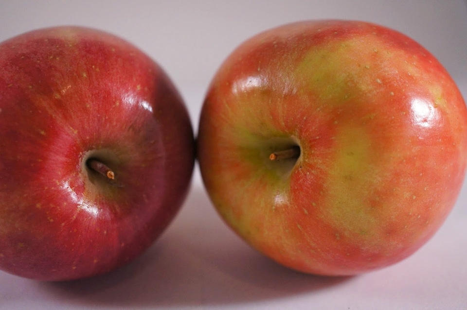 Fruit agriculture antioxidant