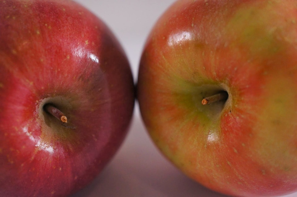 Detail fruit agriculture