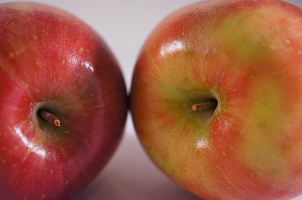Detail red fruit