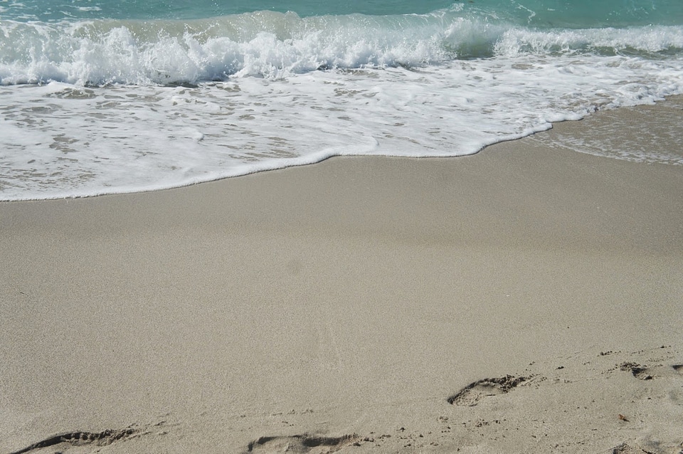 Water seashore sea