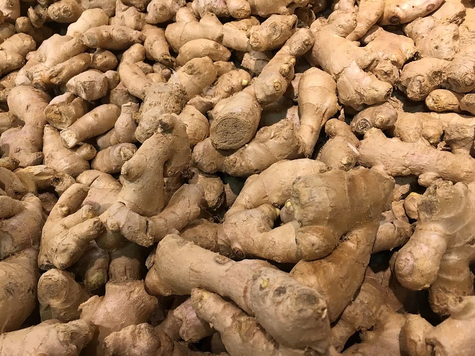 Antioxidant ginger vegetable