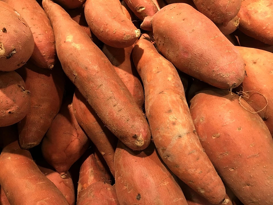 Vegetable market root