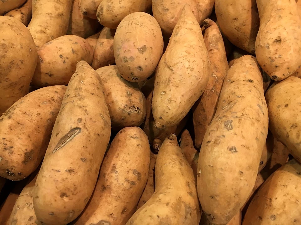 Carbohydrate food market