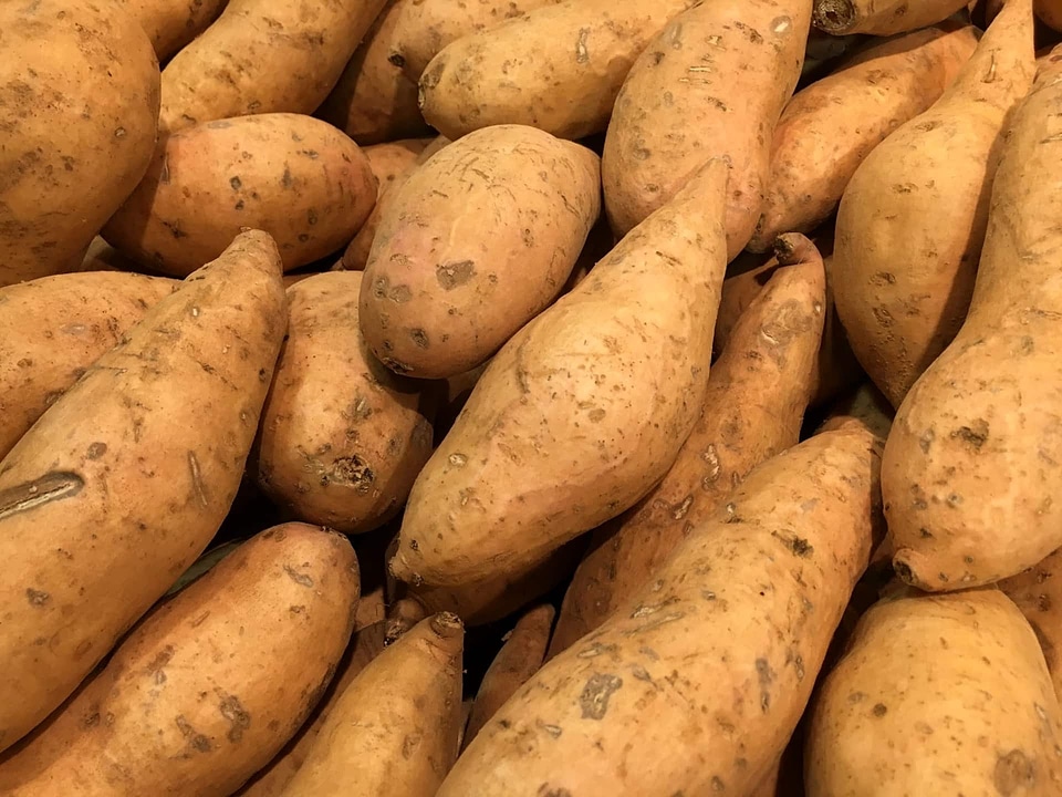 Market farming vegetable