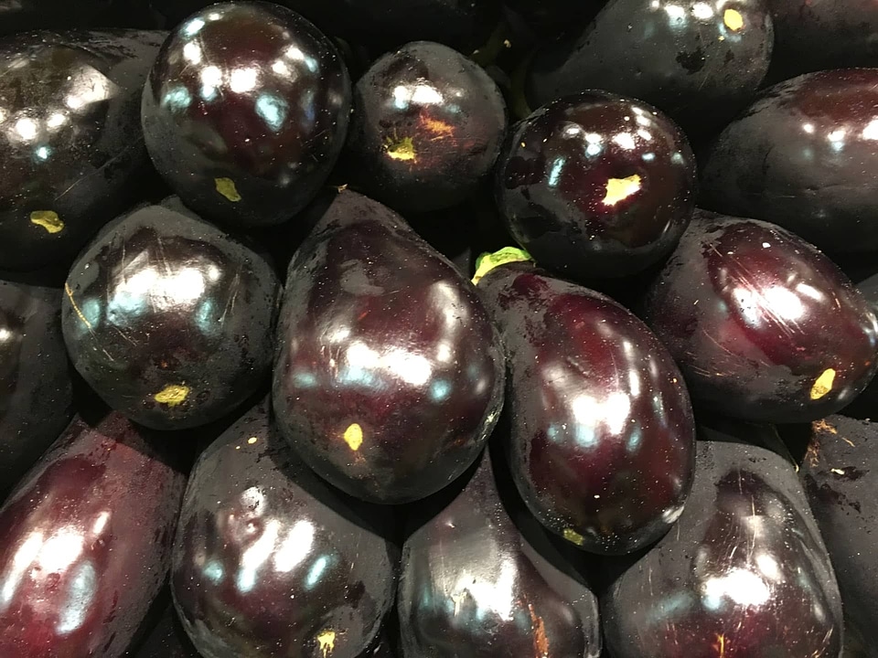 Food eggplant shining