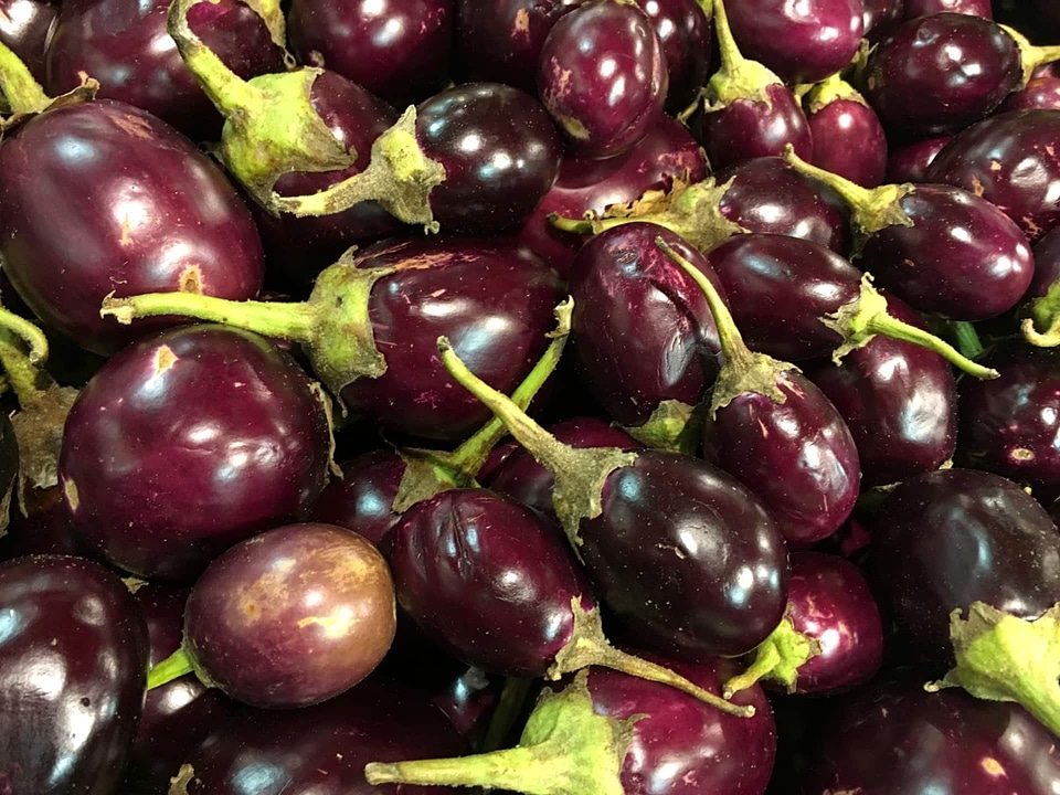 Purple eggplant sweet