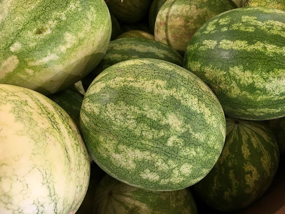 Watermelon produce melon