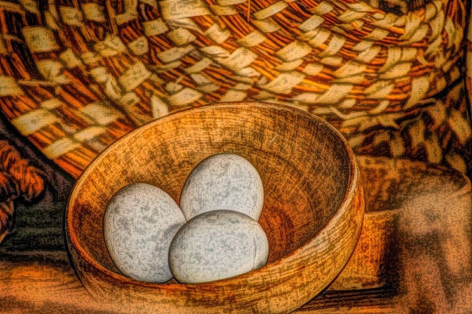 Egg eggshell fine arts