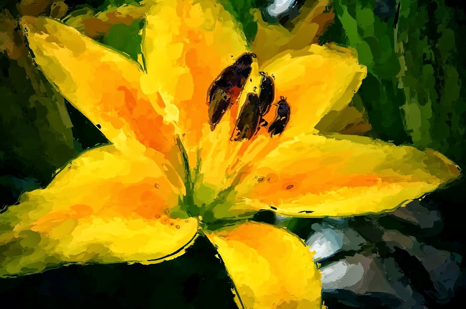 Fine Arts lily yellow