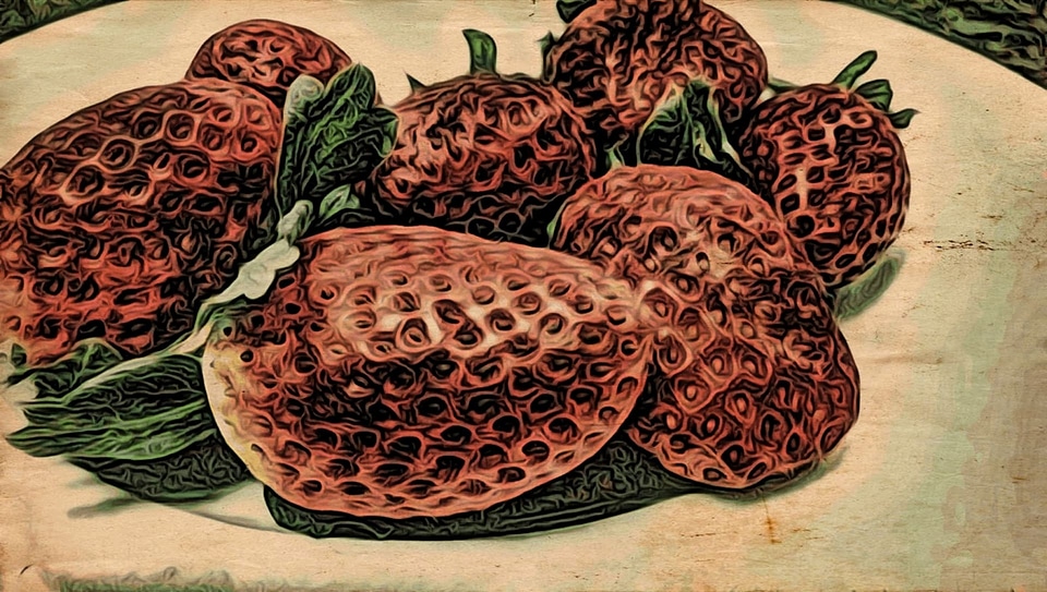Fine Arts strawberries food
