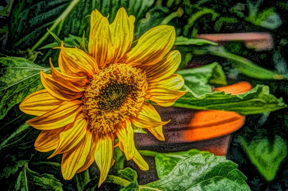 Fine Arts oil painting photomontage