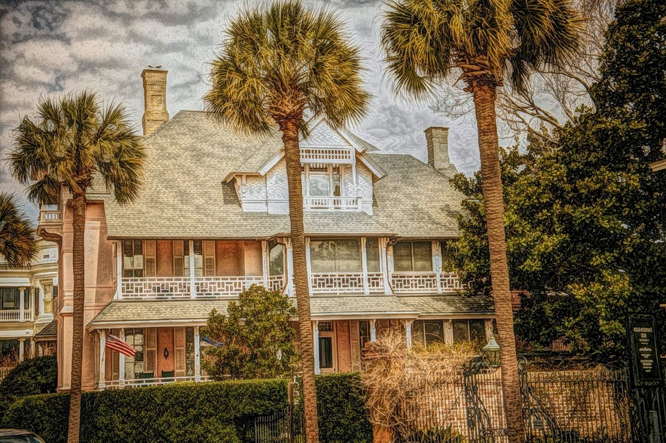 House illustration palm