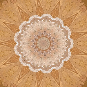 Arabesque decoration texture photo