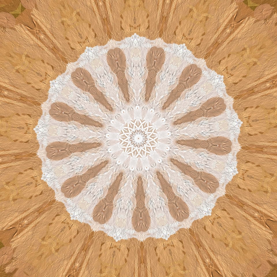 Arabesque circle pattern photo