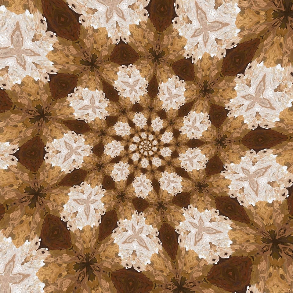 Elements abstract arabesque