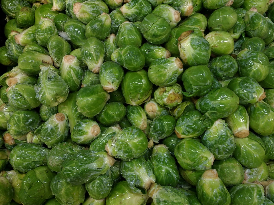 Cabbage produce herb