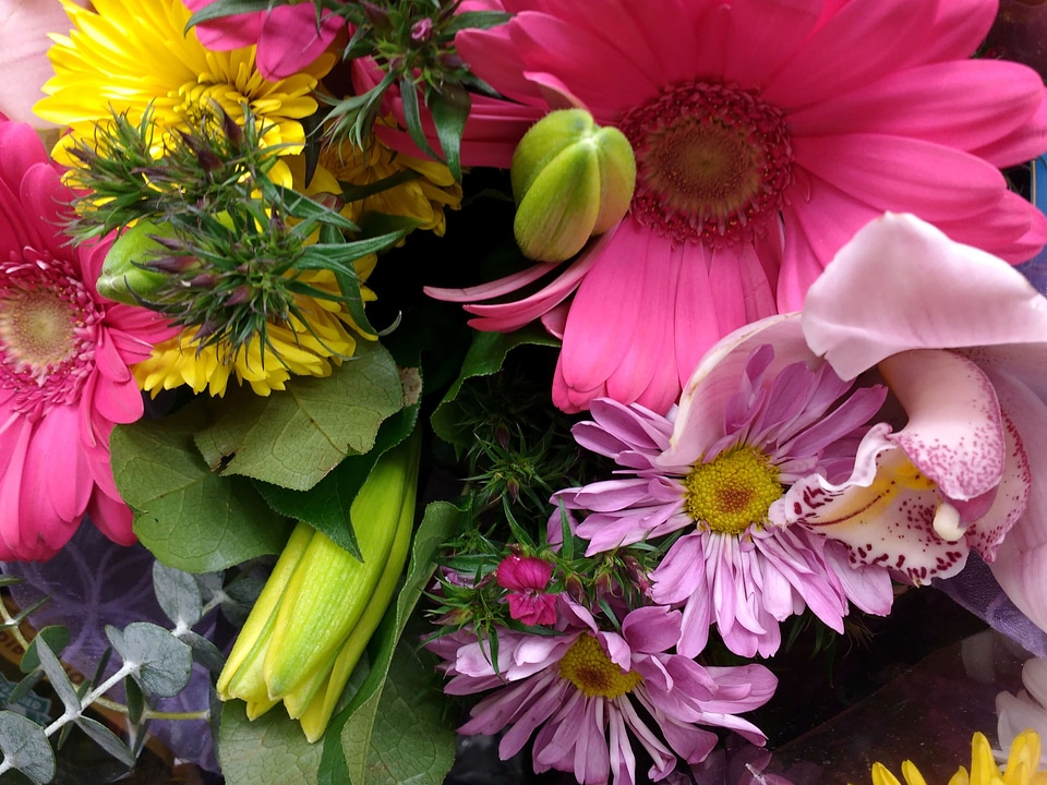 Bouquet arrangement flora