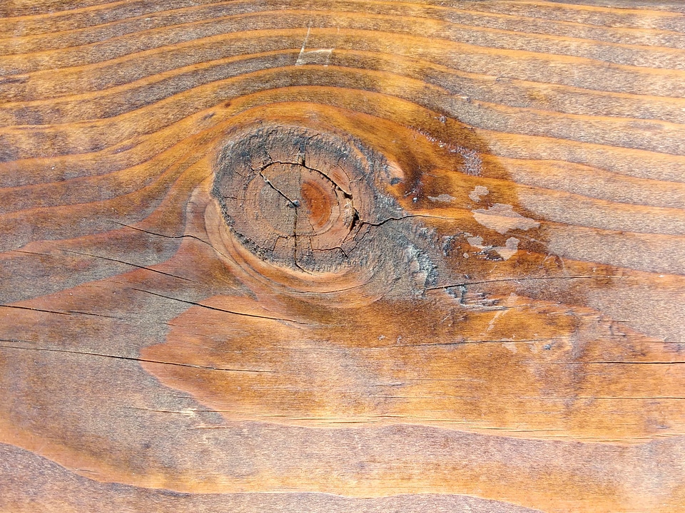 Carpentry hardwood knot