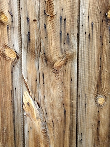 Wood fabric surface photo