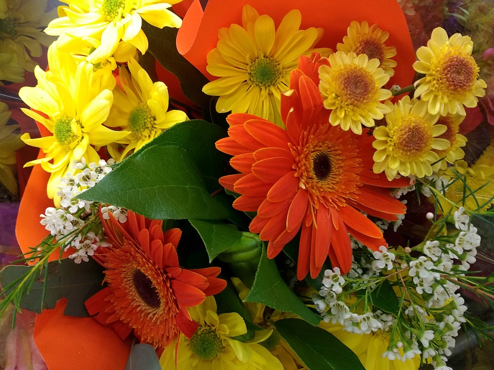 Flower bouquet sunflower