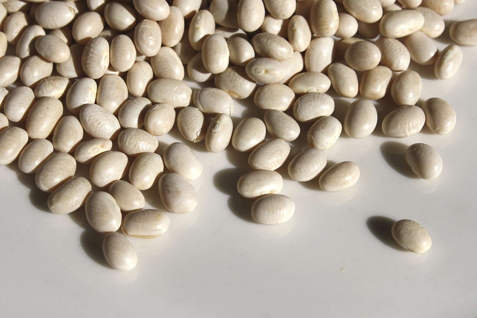 Bean vegetable health