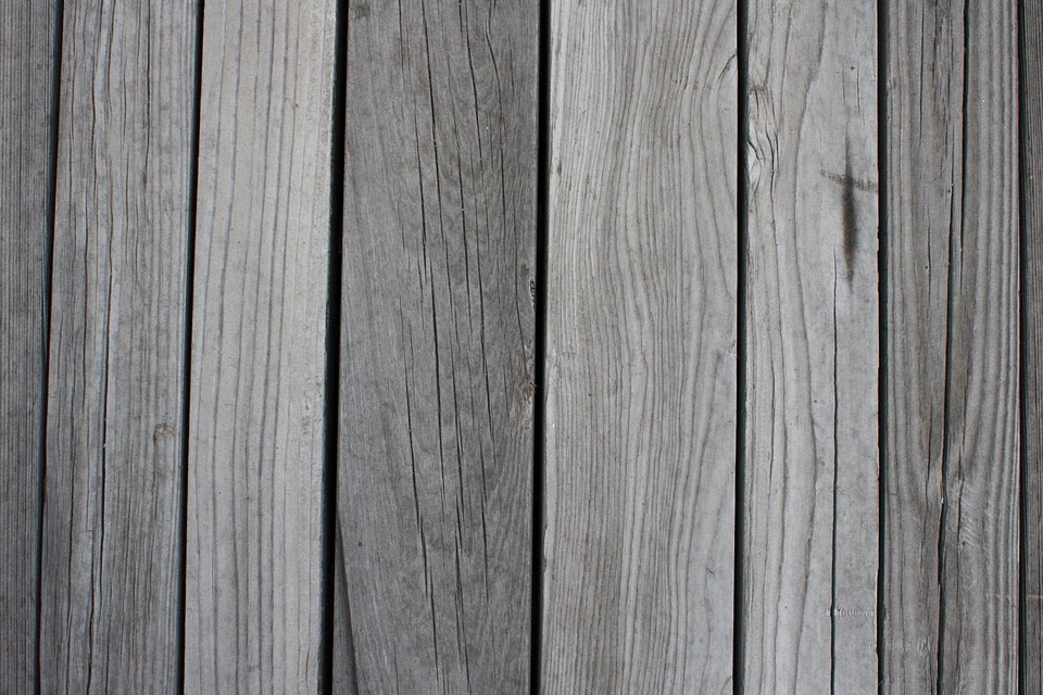 Monochrome wood hardwood photo