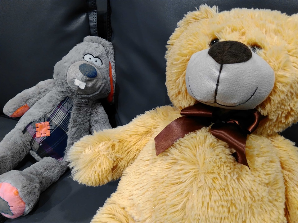 Bear teddy bear toy toy
