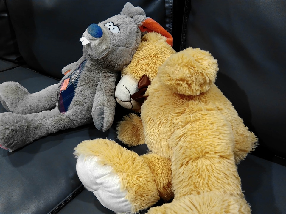 Teddy Bear Toy toy bear