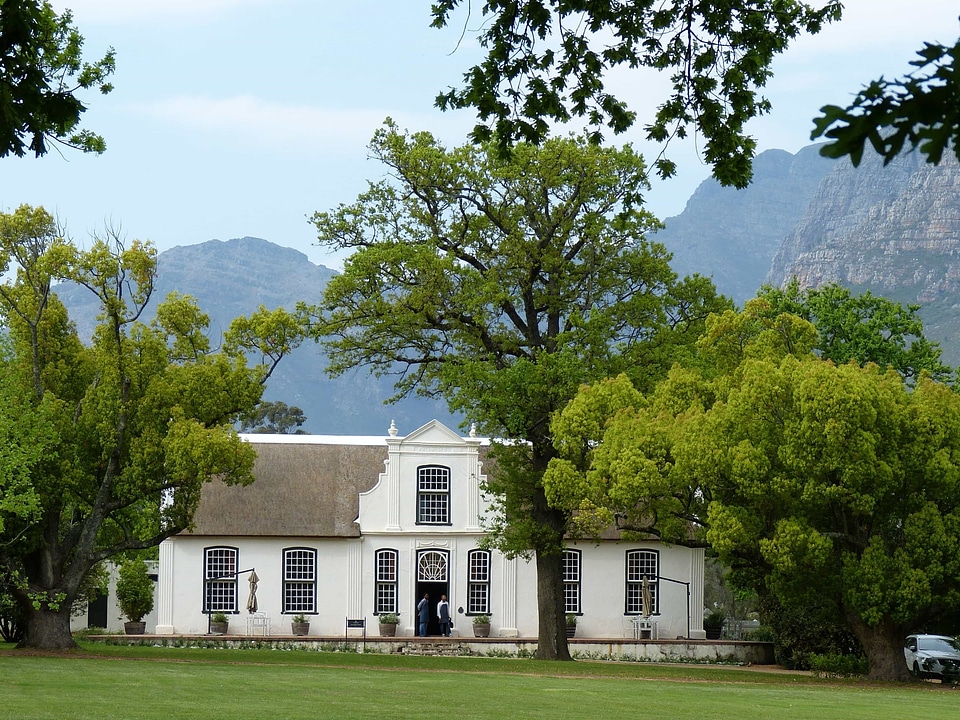 Ecotourism house tree photo