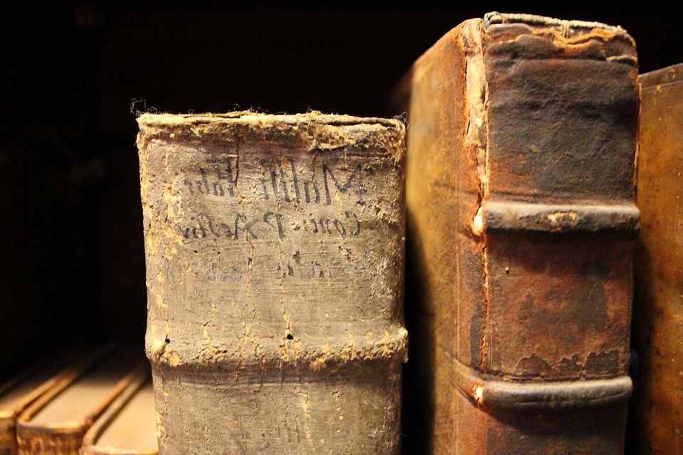 Book books bookshelf