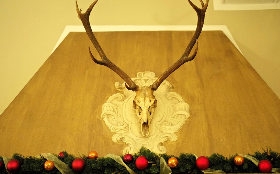Horn wood decoration photo