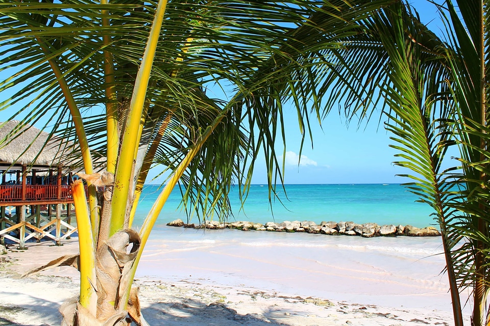 Paradise sand ocean