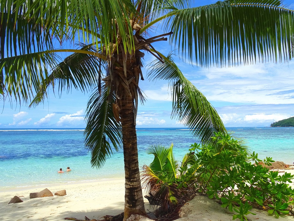 Horizon tropical sand