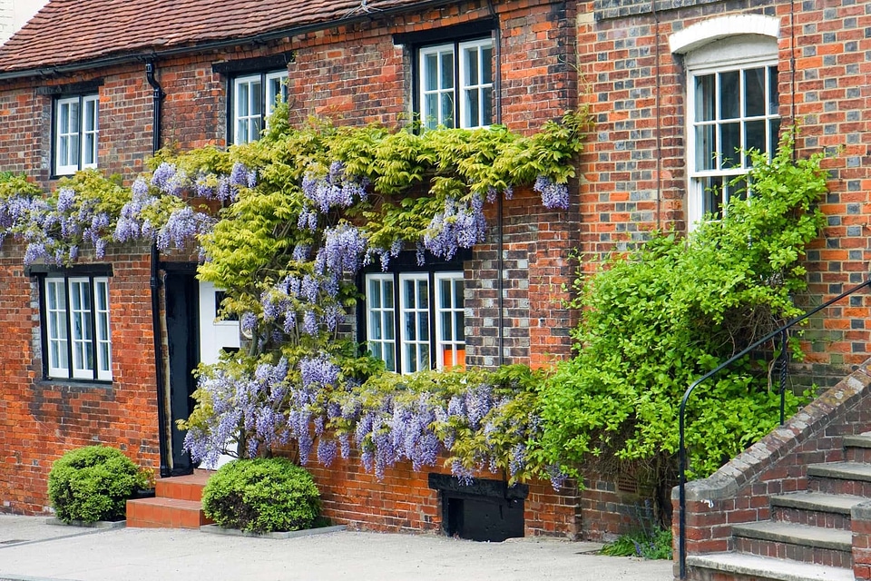 Ivy garden architecture