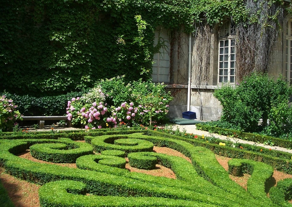 Flower garden landscape