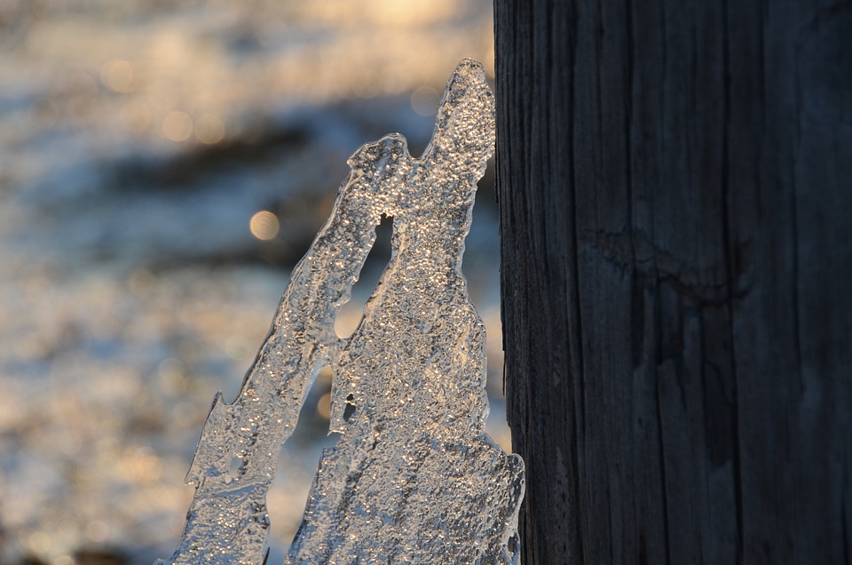 Winter magic wintry close-up photo