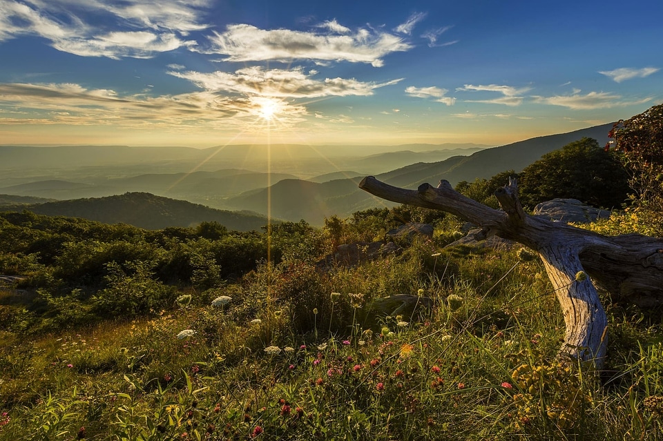 Sunshine landscape field