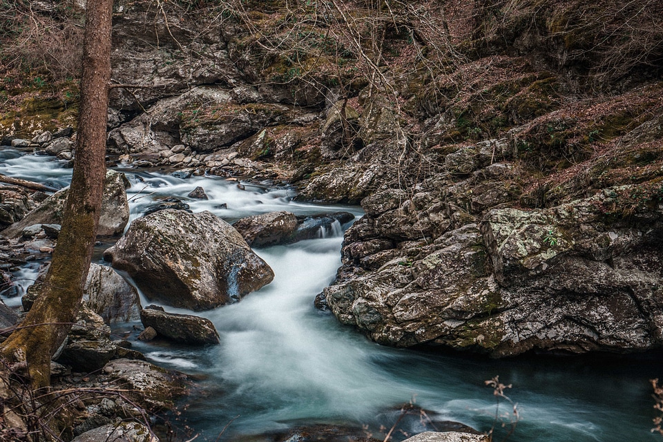 Stone forest river