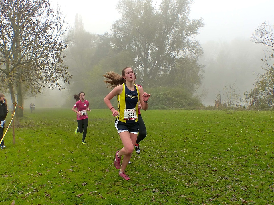 Grass outdoor runner