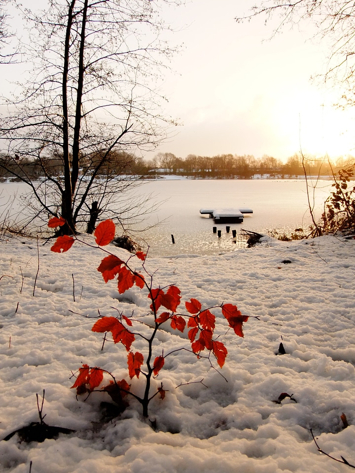 Water cold lake