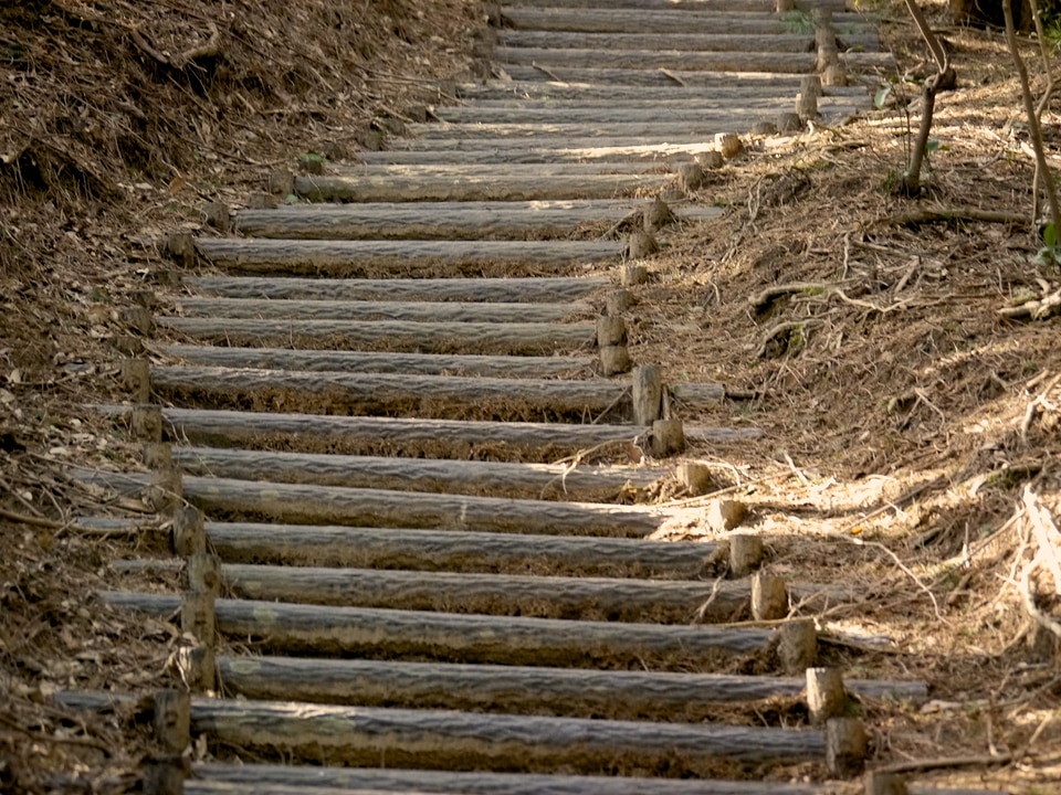 Wood natural trail