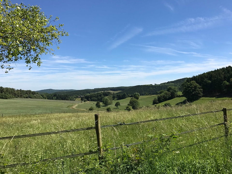 Agriculture blue sky cloud