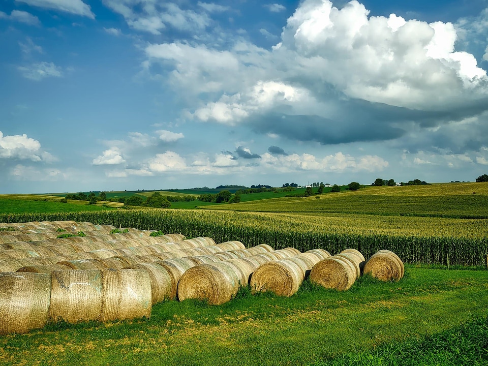 Agricultural agriculture autumn