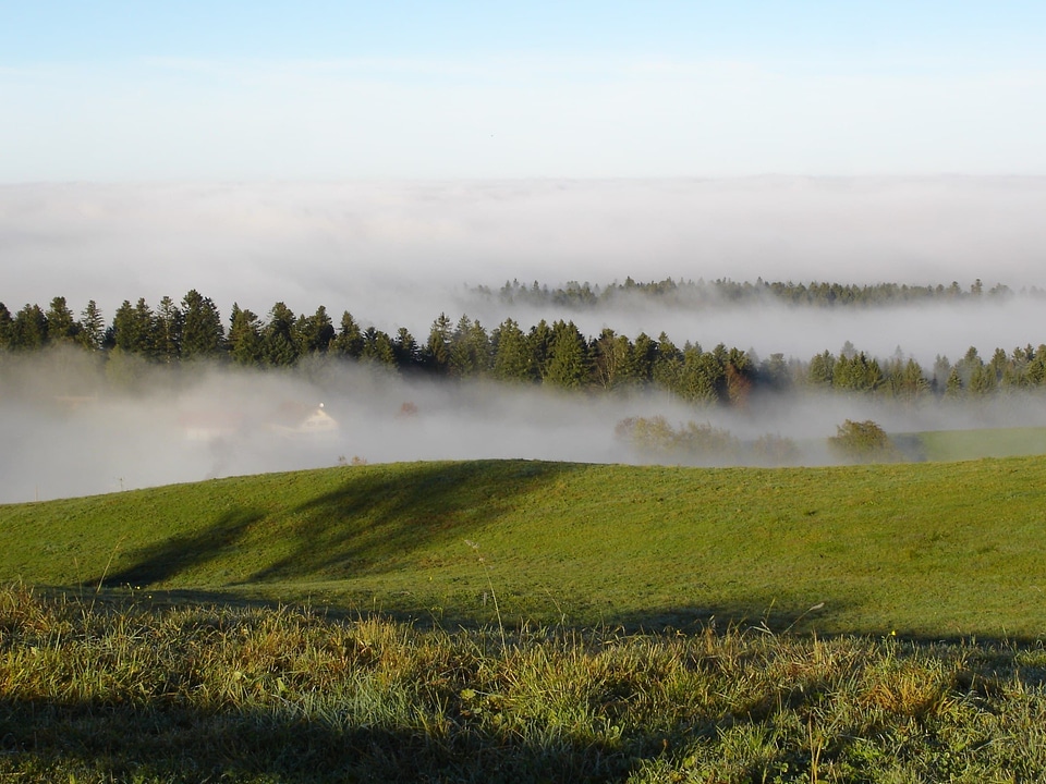 Agriculture branch cloud