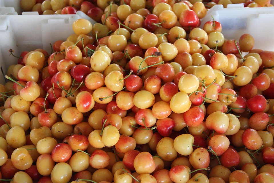 Antioxidant cherry daylight