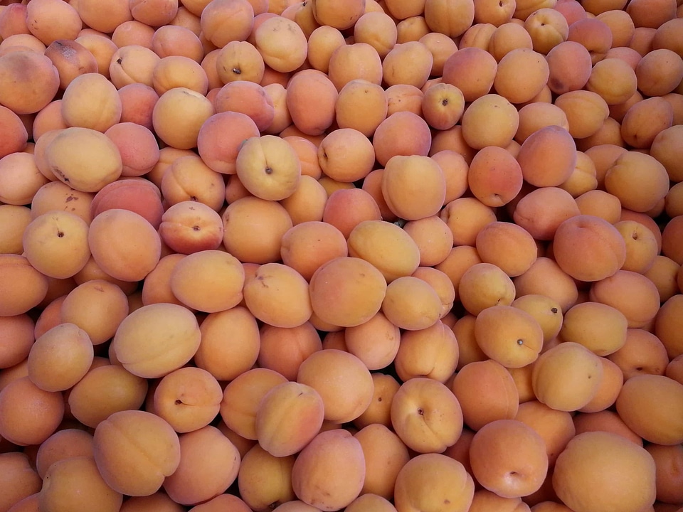 Agriculture antioxidant daylight