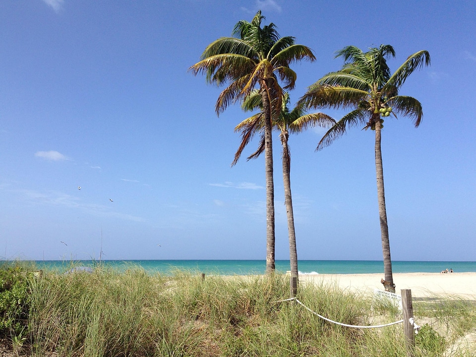 Bay beach blue sky