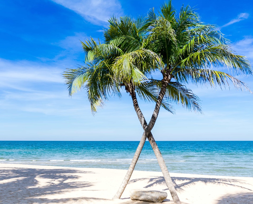 Bay beach beautiful photo