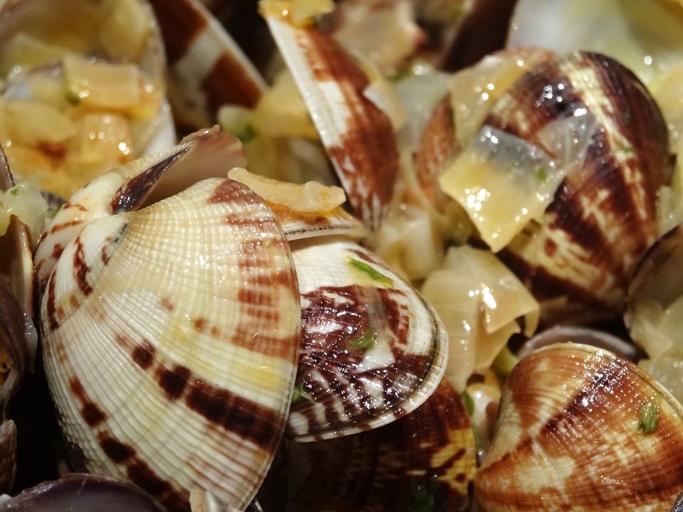 Sea fruit food restaurant