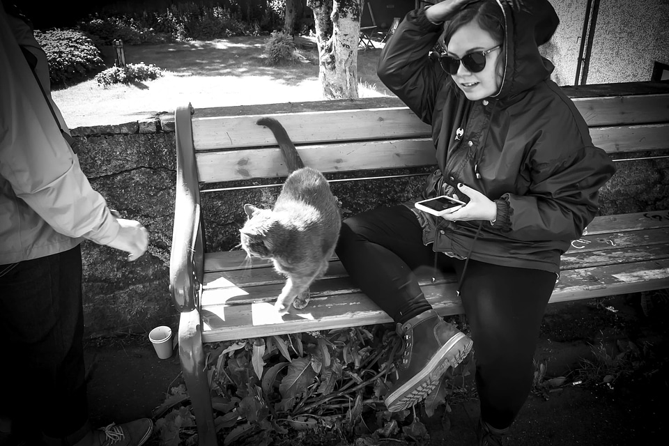 Animal beautiful bench